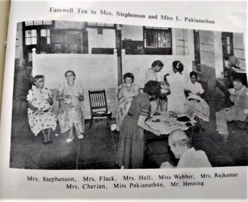 Mrs Stephenson Farewell